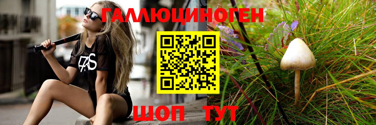 Химки  Псилоцибиновые грибы MAGIC MUSHROOMS  Вход с VPN 